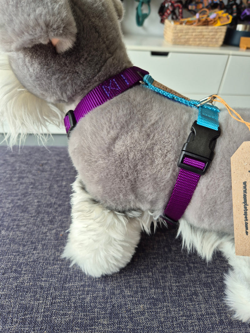 Naked harness - standard, 2-colour