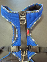 Grossenbacher Fun Run Harness