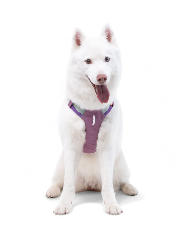 Woolly Wolf Alpha 360 Harness (RPET)