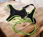 Grossenbacher Fun Run Harness