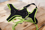 Grossenbacher Fun Run Harness